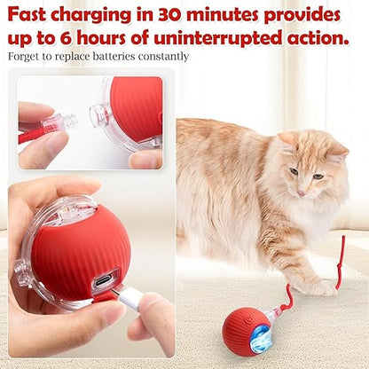 Pet Automatic Rolling Ball Toy